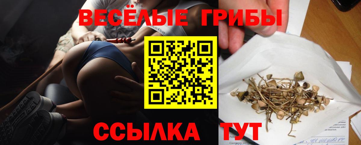 Псилоцибиновые грибы Cubensis  Псилоцибиновые грибы Cubensis  Спасск-Дальний  сколько стоит  Вход с VPN 